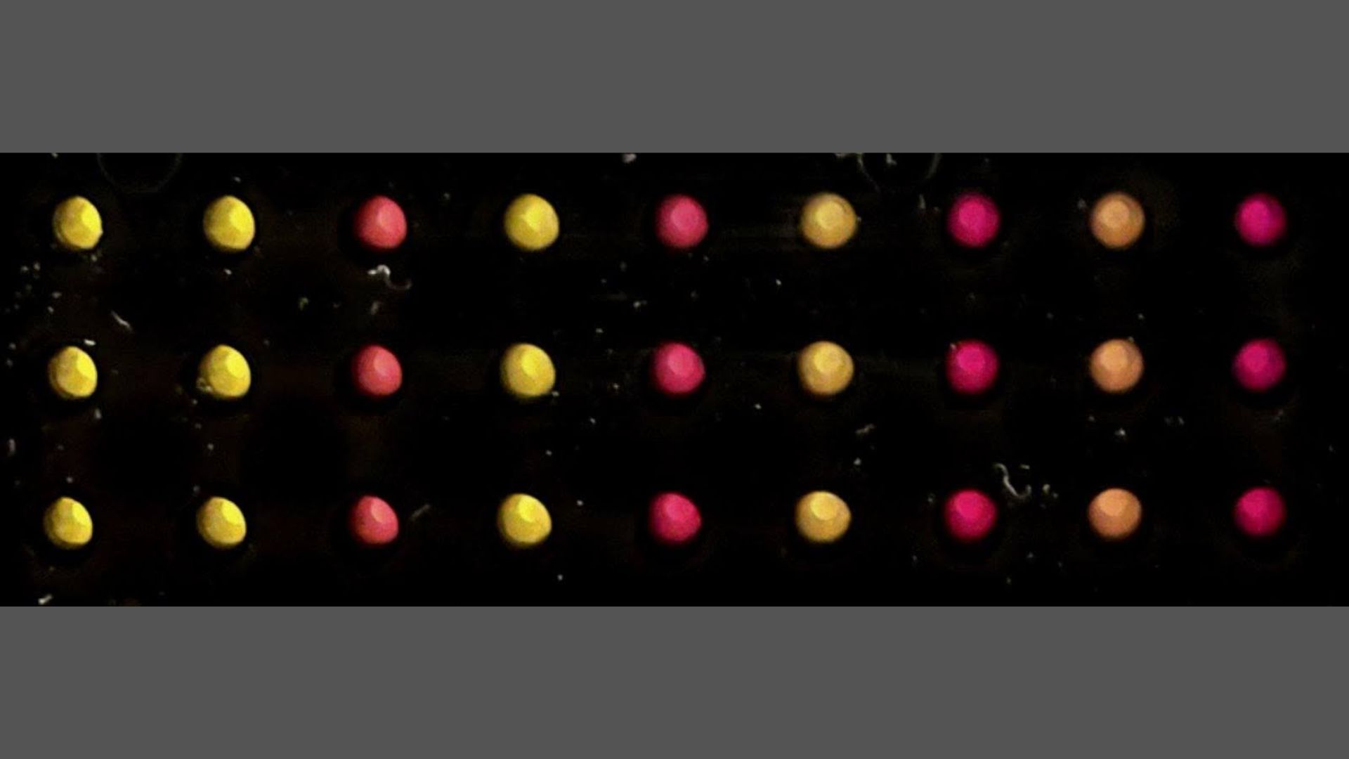 A representation of the paper-discs with the substrate and cell free extracts together with (left to right) increasing concentrations of the sensor without trigger (yellow) compared to with trigger addition (shades of red).