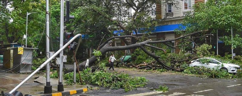 प्रतिकात्मक चित्र: सौजन्य पिक्साहाईव्ह 